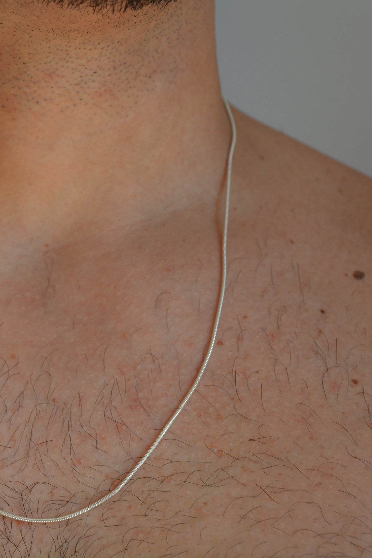 Serpent Apella Necklace
