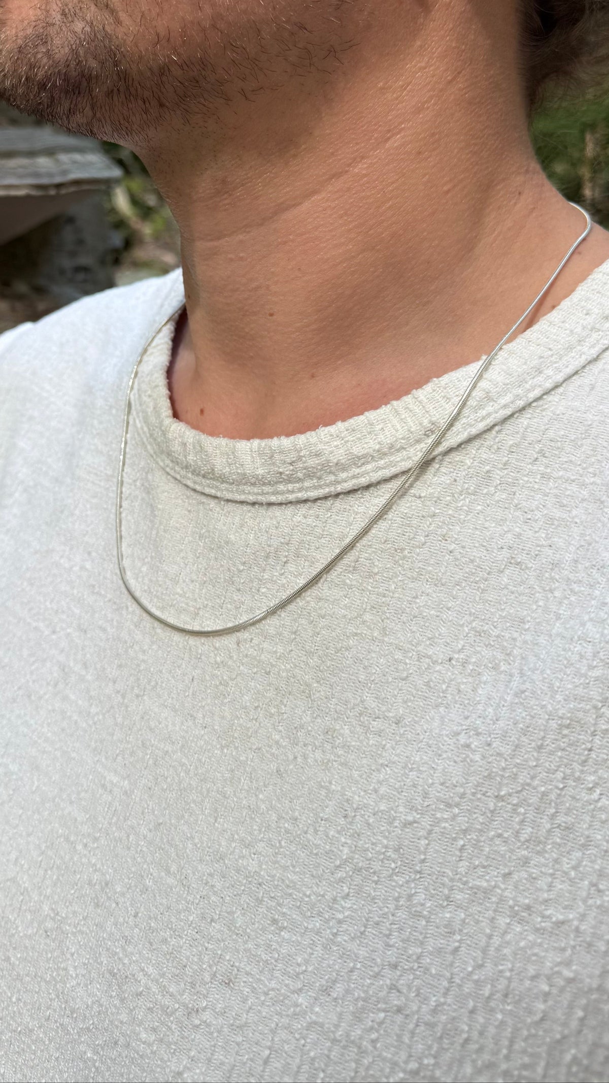 Serpent Apella Necklace