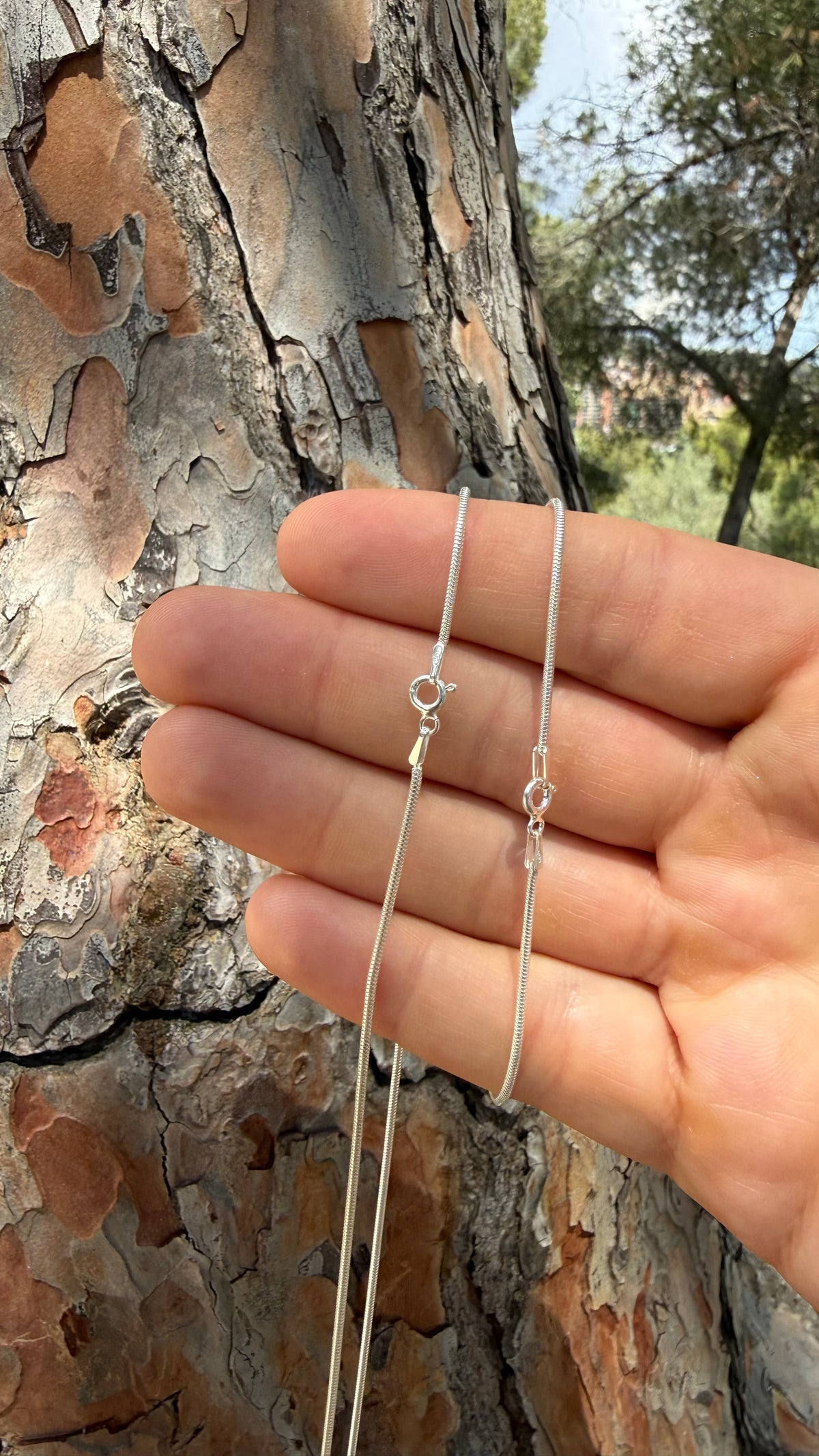 Serpent Apella Necklace