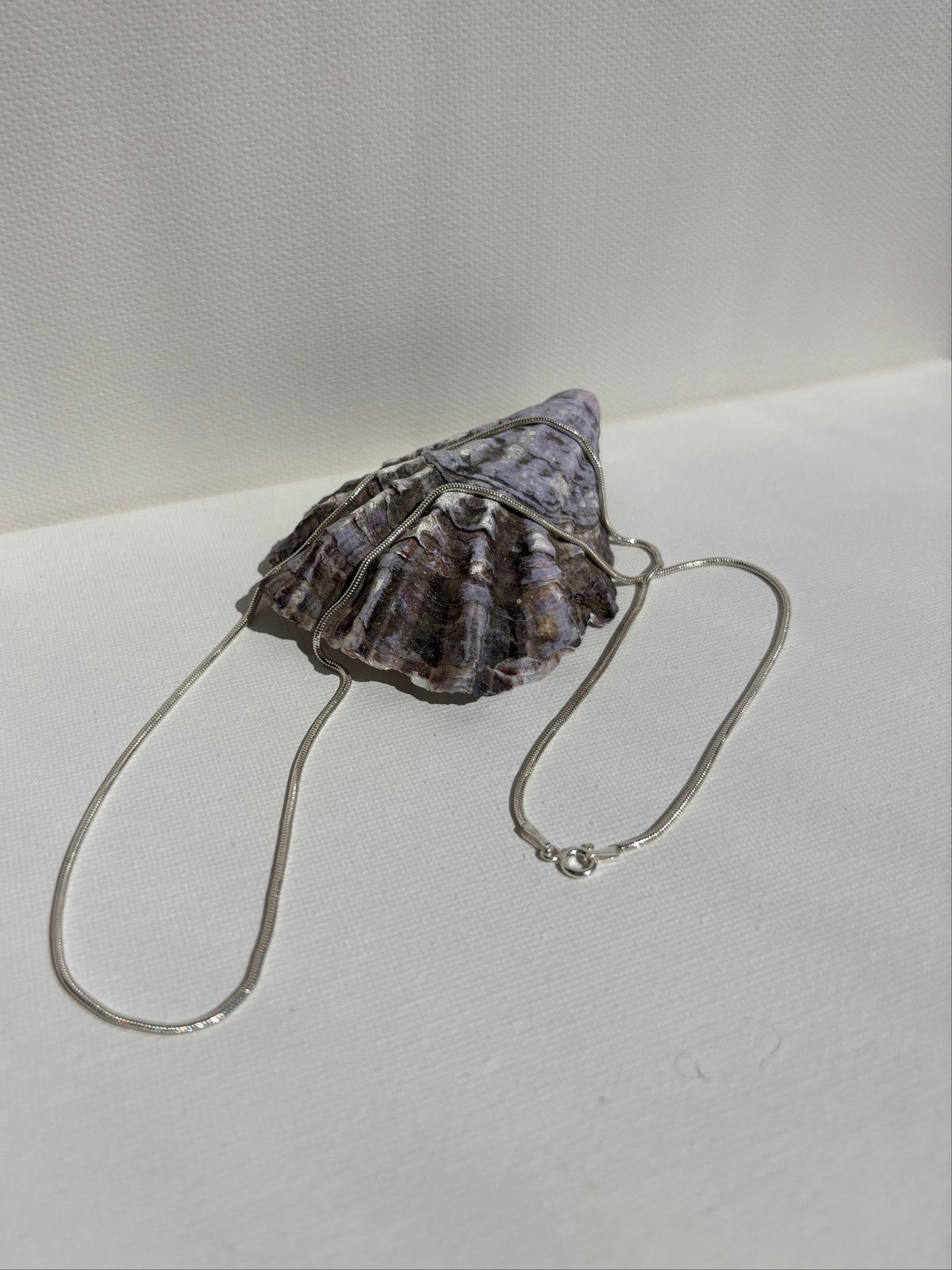 Serpent Apella Necklace