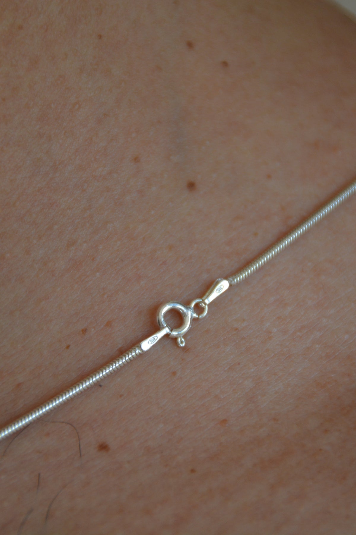 Serpent Apella Necklace