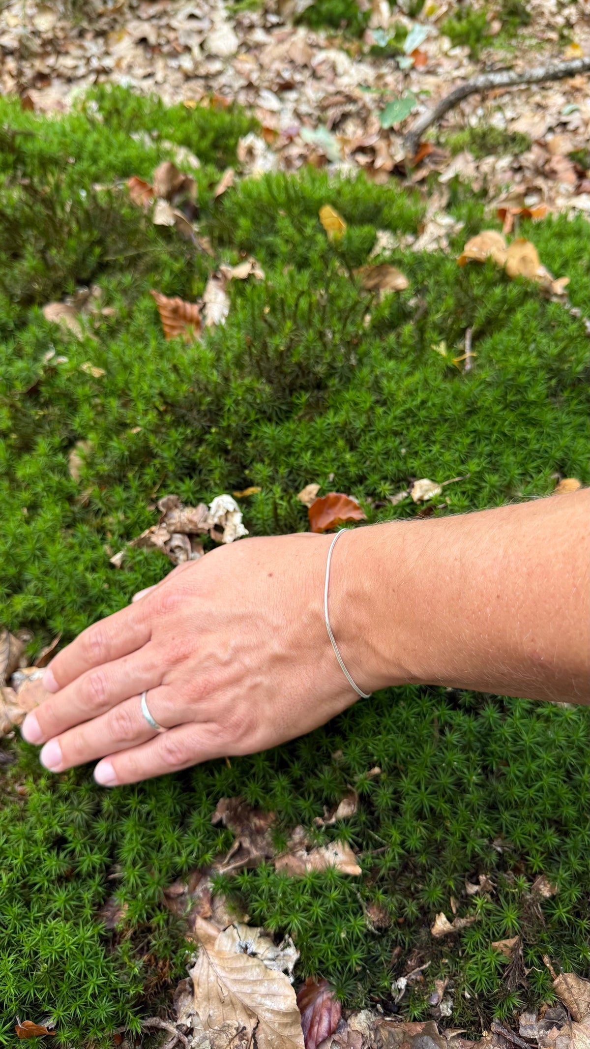Serpent Lalaria Bracelet
